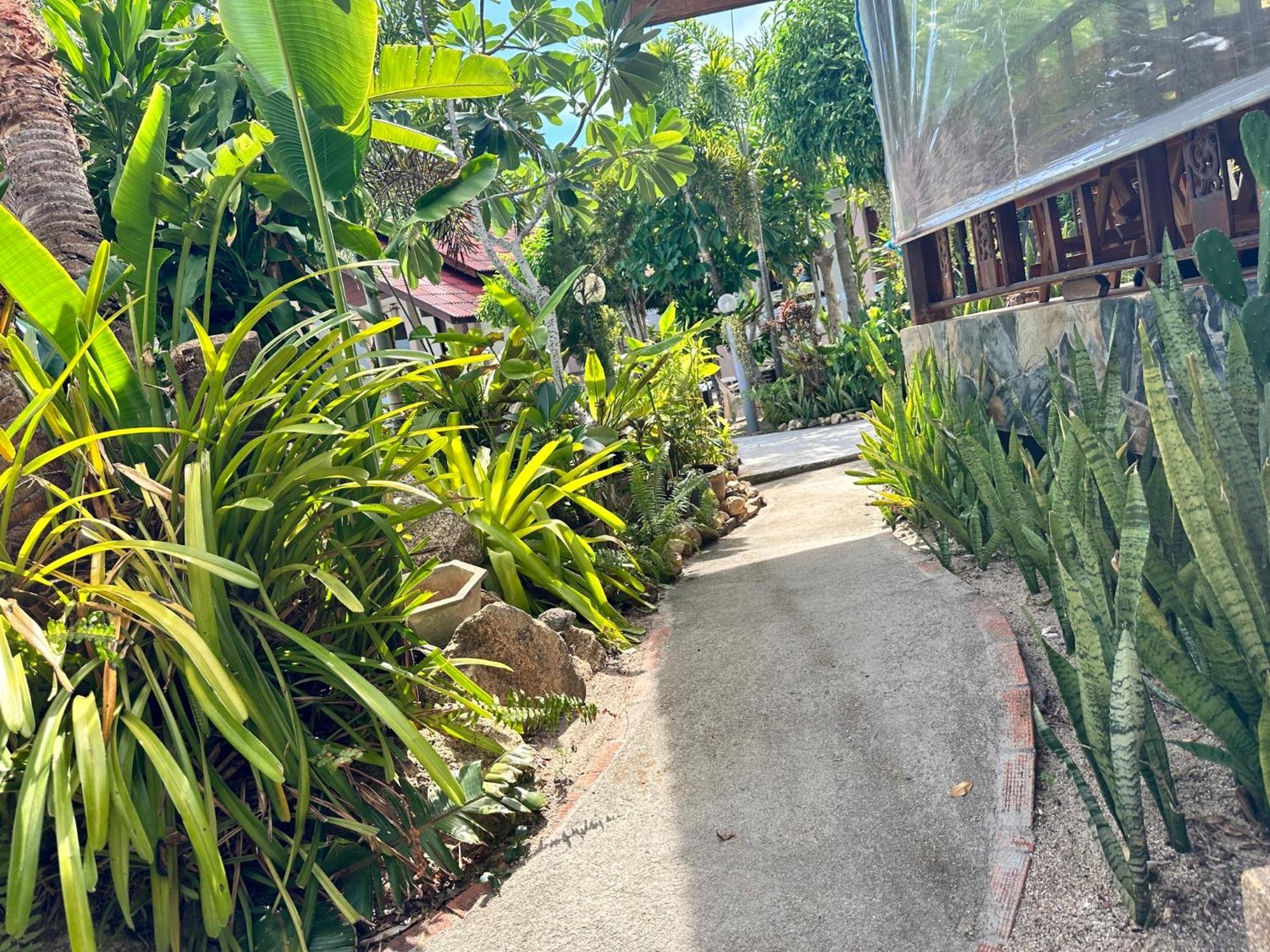 Phangan Lodge Baan Tai Bagian luar foto